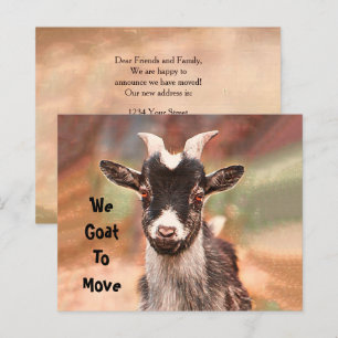 Budget Cute Goat Moving New Address
