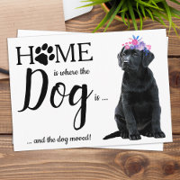 Budget Cute We've Moved Dog Moving Announcement