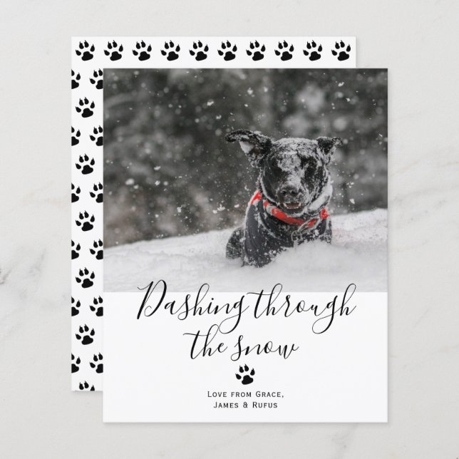 BUDGET Dashing Through The Snow Pet Dog Christmas (Front/Back)