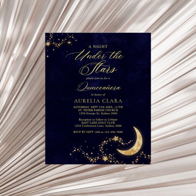 BUDGET Elegant A Night Under the Stars Quinceañera (Creator Uploaded)