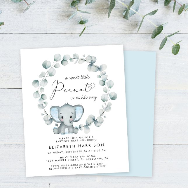 Budget Elephant Baby Boy Sprinkle Invitation (Creator Uploaded)