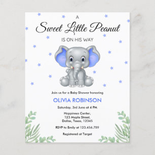 Budget Elephant Blue Boy Baby Shower Invitation  Flyer