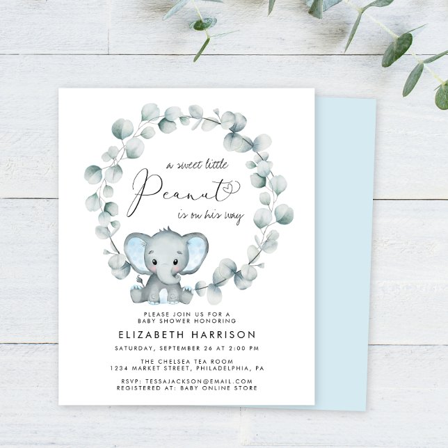Budget Elephant Eucalyptus Baby Boy Shower Invite (Creator Uploaded)