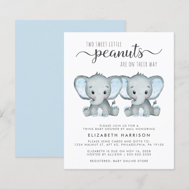 Budget Elephant Twin Baby Boys Shower By Mail (Front/Back)