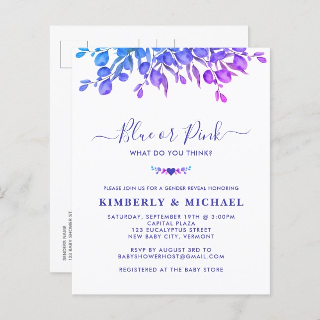 Budget Eucalyptus Baby Gender Reveal Blue Pink  (Front/Back)