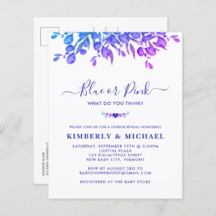 Budget Eucalyptus Baby Gender Reveal Blue Pink 