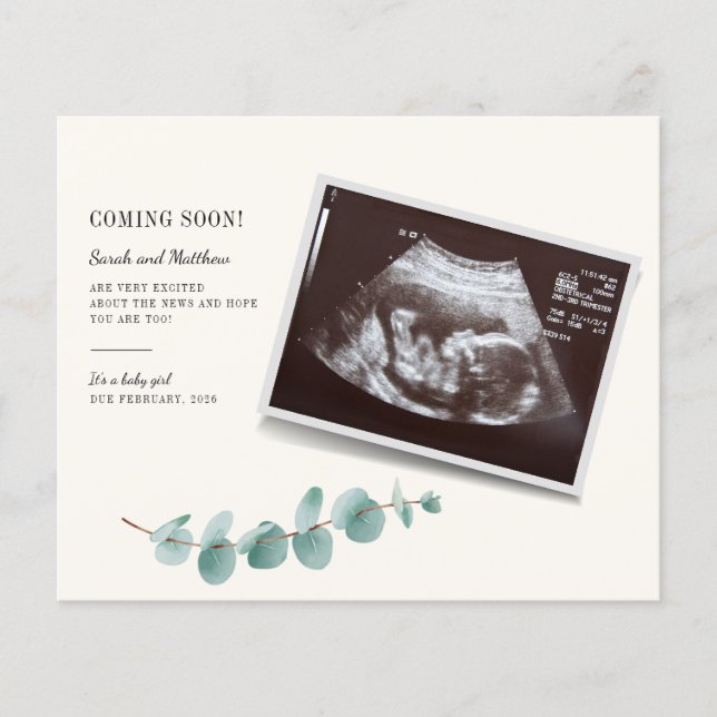 Budget Eucalyptus Foliage Pregnancy Baby Reveal (Front)