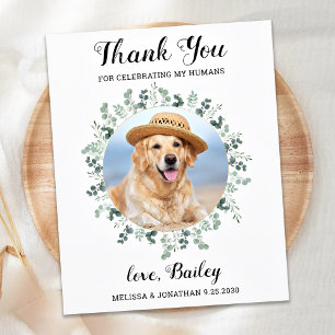 Budget Eucalyptus Pet Photo Dog Wedding Thank You