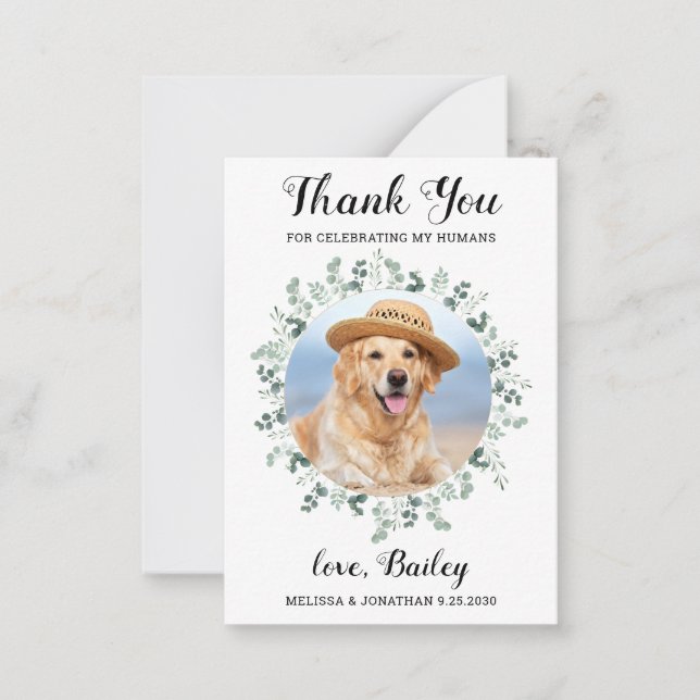 Budget Eucalyptus Pet Photo Dog Wedding Thank You Card (Front)
