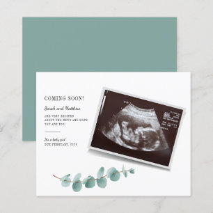 Budget Eucalyptus Pregnancy Girl Baby Reveal