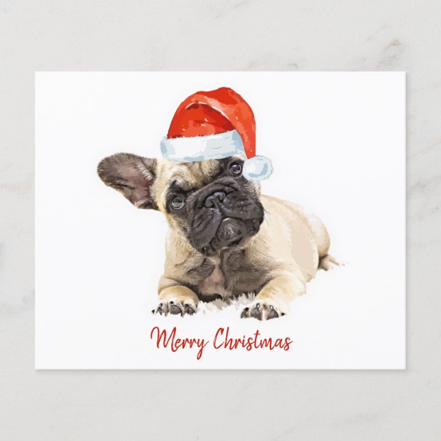 Budget French Bulldog Puppy Christmas Cute Dog  (Front)