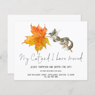 Budget Fun My Cat I have Moved Script New Home