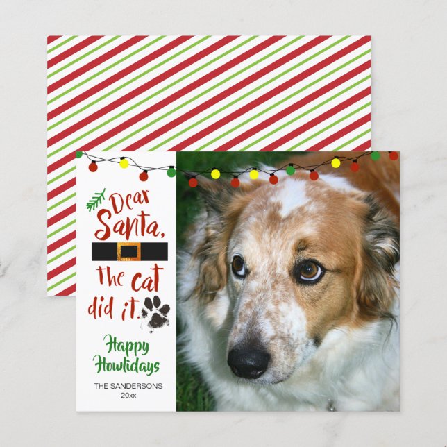 Budget Funny Dog Photo Holiday Greeting Card (Front/Back)