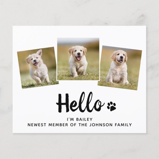 Budget Hello Photo Puppy Dog New Pet Announcement (Front)