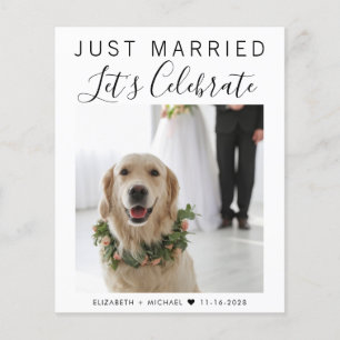 Budget Just Married Photo Wedding Reception