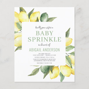 Budget Lemon Modern Baby Sprinkle Invitation Flyer