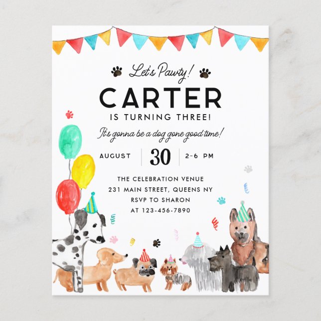 Budget Let's Pawty Party Kids Puppy Dog Birthday (Front)