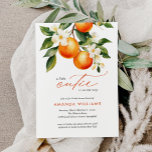 Budget Little Cutie Orange Clementine Baby Shower Invitation<br><div class="desc">Budget Little Cutie Orange Clementine Baby Shower Invitation features a beautiful bouquet of watercolor oranges and blossoms along with elegant calligraphy type.</div>
