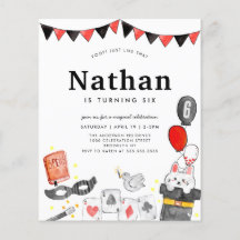 Budget Magician Rabbit Wand Magic Show Birthday