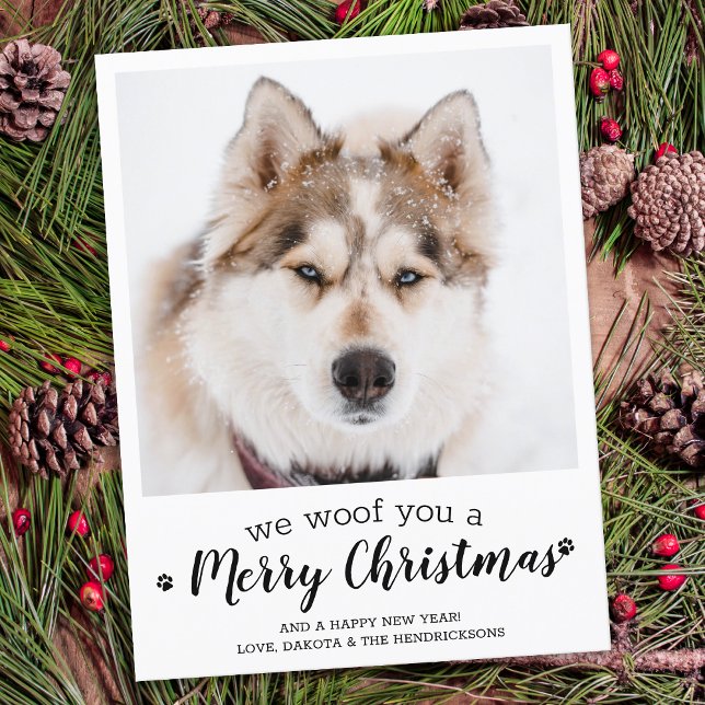 Budget Merry Christmas Dog Modern Pet Photo  Card (Creator Uploaded)
