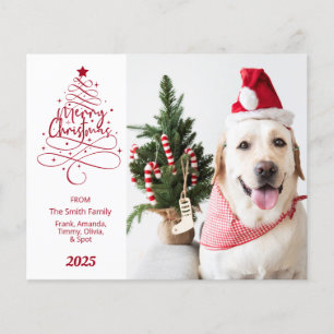 Budget Merry Christmas Photo
