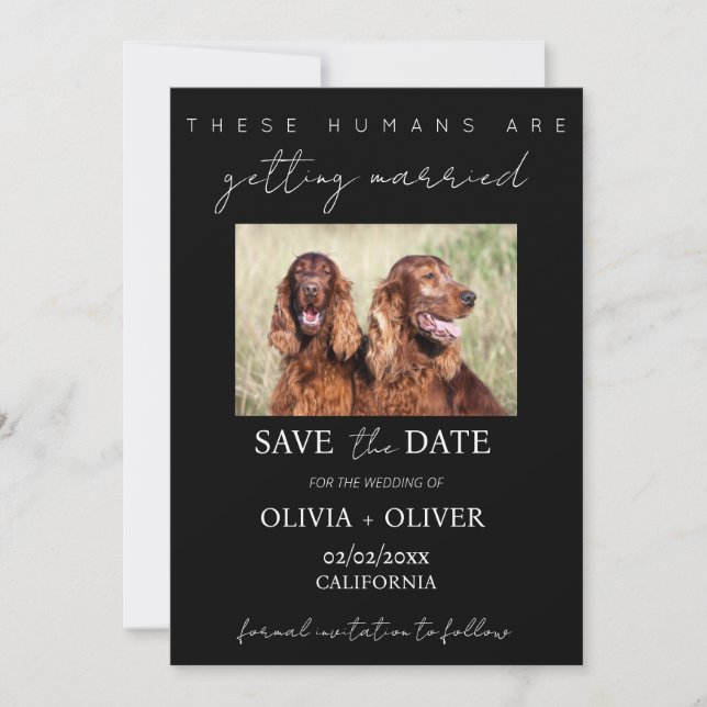 Budget, minimalist, black & white Custom dog photo Save The Date (Front)