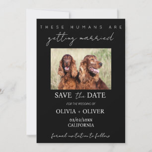 Budget, minimalist, black & white Custom dog photo Save The Date