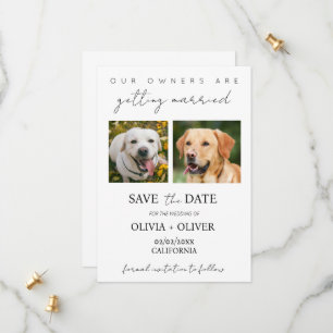 Budget, minimalist, cute Custom dog photo Save The Date