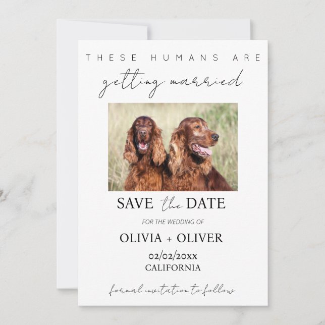 Budget, minimalist, cute Custom dog photo Save The Date (Front)