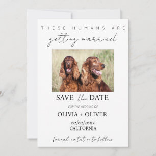 Budget, minimalist, cute Custom dog photo Save The Date