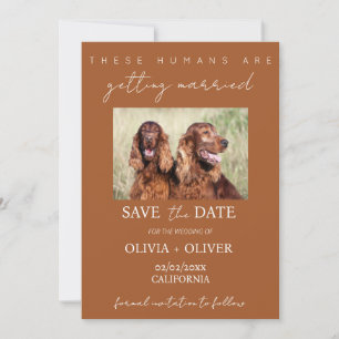 Budget, minimalist, terracotta Custom dog photo Save The Date