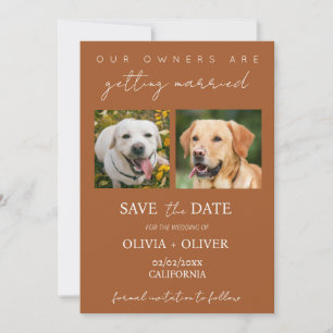 Budget, minimalist, terracotta Custom dog photo Save The Date