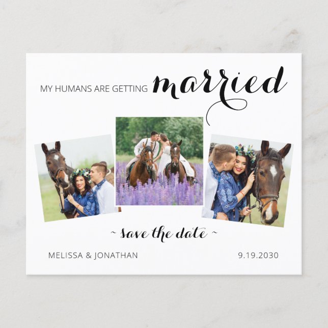Budget Modern 3 Photo Horse Save The Date Invite (Front)