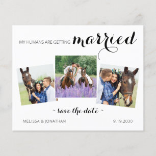 Budget Modern 3 Photo Horse Save The Date Invite