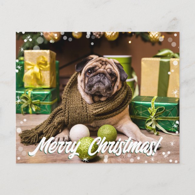 Budget Modern Photo (Front)