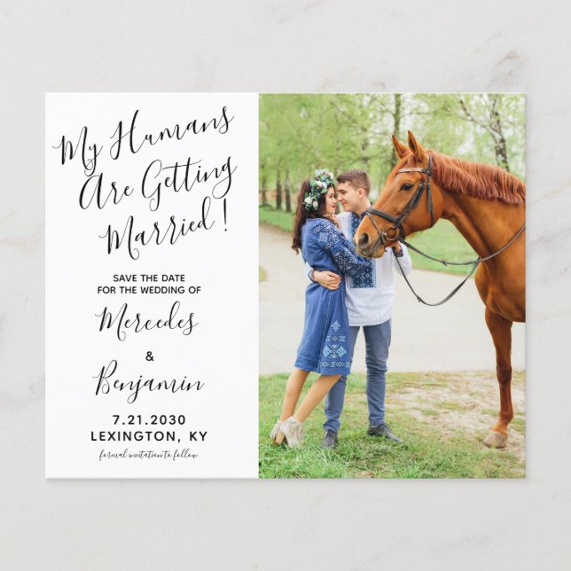 Budget Modern Photo Equine Wedding Save The Date  (Front)
