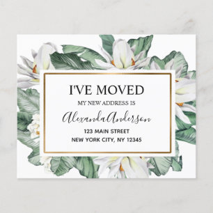 Budget Moving Announcement Tropical Floral