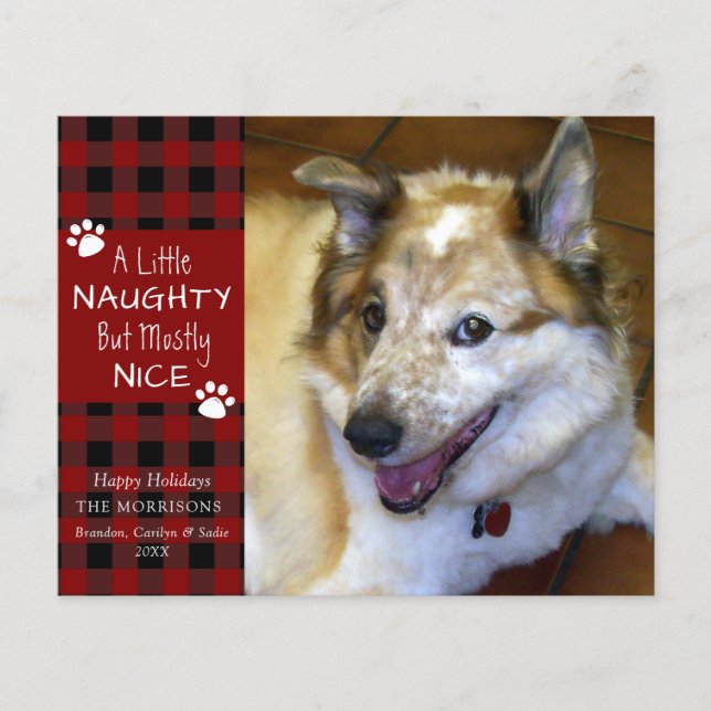 Budget Naughty or Nice Dog Photo Greeting Card (Front)