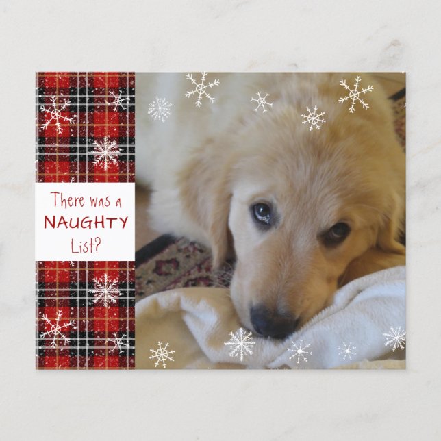 Budget Naughty or Nice Photo Funny Holiday Card (Front)