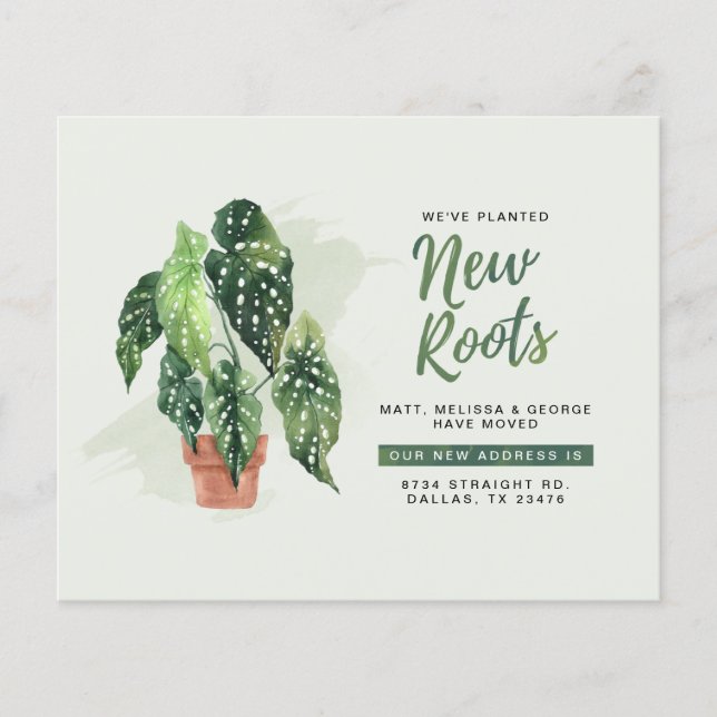 Budget New Address Moving Announcement (Front)