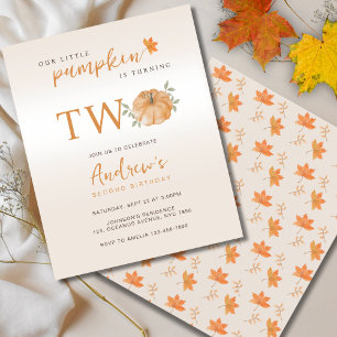Budget Our Little Pumpkin Fall 2nd Birthday