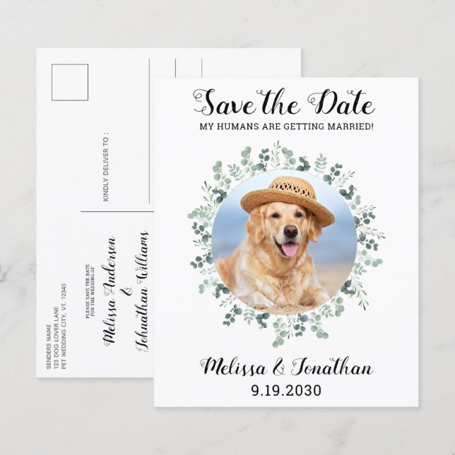Budget Pet Dog Wedding Eucalyptus Save The Date (Front/Back)