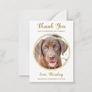 Budget Pet Photo Dog Wedding Chic Gold Thank You  Card