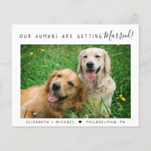 Budget Pet Photo Engagement Announcement