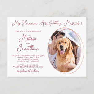 Budget Pet Photo Rose Gold Wedding Invitation Postcard