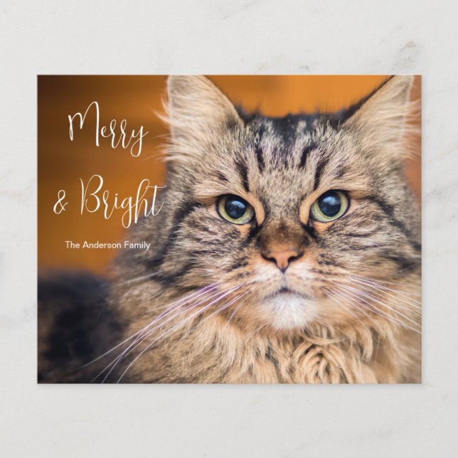 Budget Photo Cat Merry and Bright  Holiday Card (Front)