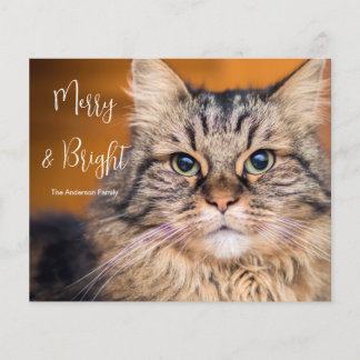 Budget Photo Cat Merry and Bright Holiday Card