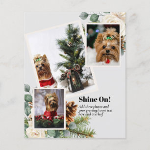 BUDGET PHOTO COLLAGE - TRANSFER TO ANY GIFT TYPE FLYER