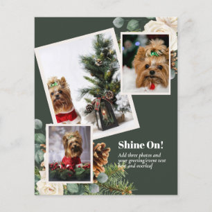 BUDGET PHOTO COLLAGE - TRANSFER TO ANY GIFT TYPE FLYER