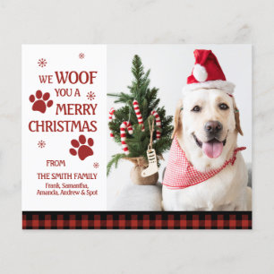 BUDGET Photo We Woof you a Merry Christmas